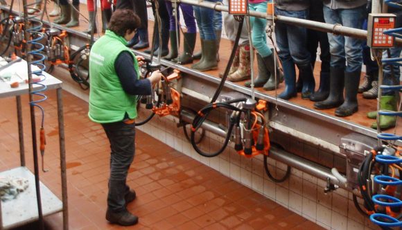 Vermeulen Melkvee en Educatie (Sint Hubert)