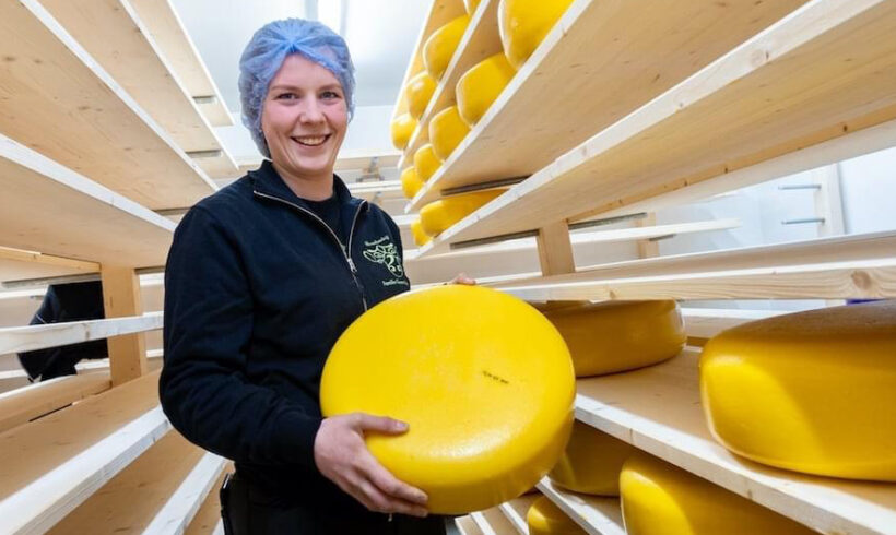 Melkveebedrijf Gevers (Nuenen)