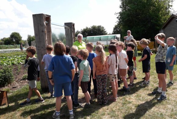 De Week van de Klasseboer 2025, 92 bezoeken op onze bedrijven! Een succes! De Week van de Klasseboer 2025, 92 bezoeken op onze bedrijven! Een succes!