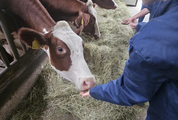 Niet alleen voor scholen Niet alleen voor scholen
