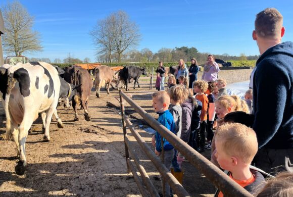 Een geslaagde en zonnige Nationale Buitenlesdag!