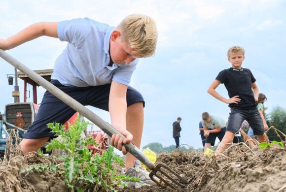 Nu ook subsidie vanuit de Brancheorganisatie Akkerbouw