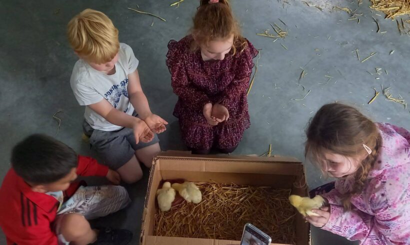Week van de Klasseboer – 1 t/m 5 juni – Met aantal gratis bezoeken!